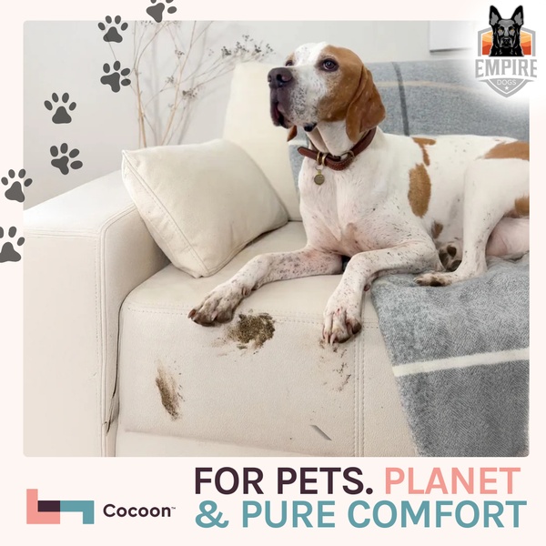 dog blanket, pet blanket, couch cover for dogs, sofa protector pet, dog furniture cover, pet throw blanket, brand awareness, product launch, lifestyle, playful, warm, neutral, pink